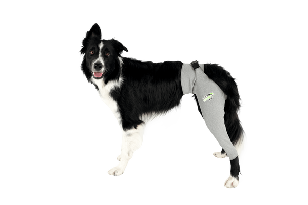 Lick Sleeve Dog Front Hind Legs Protection Lick Sleeve