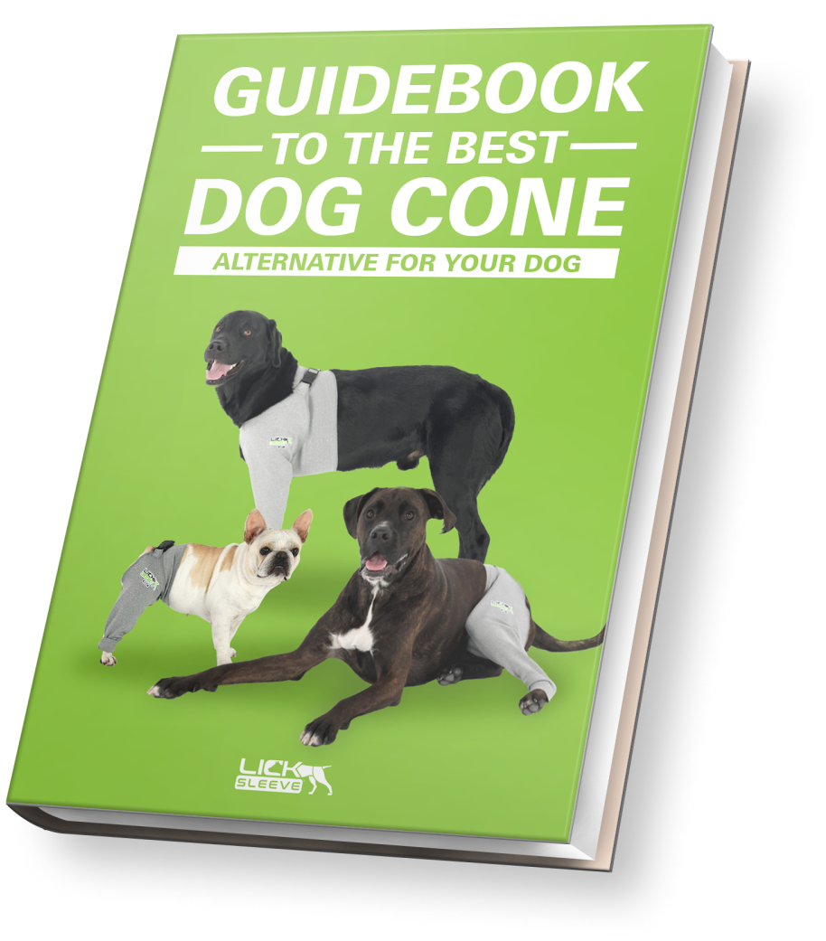 Alternative to cone of shame for dogs clearance