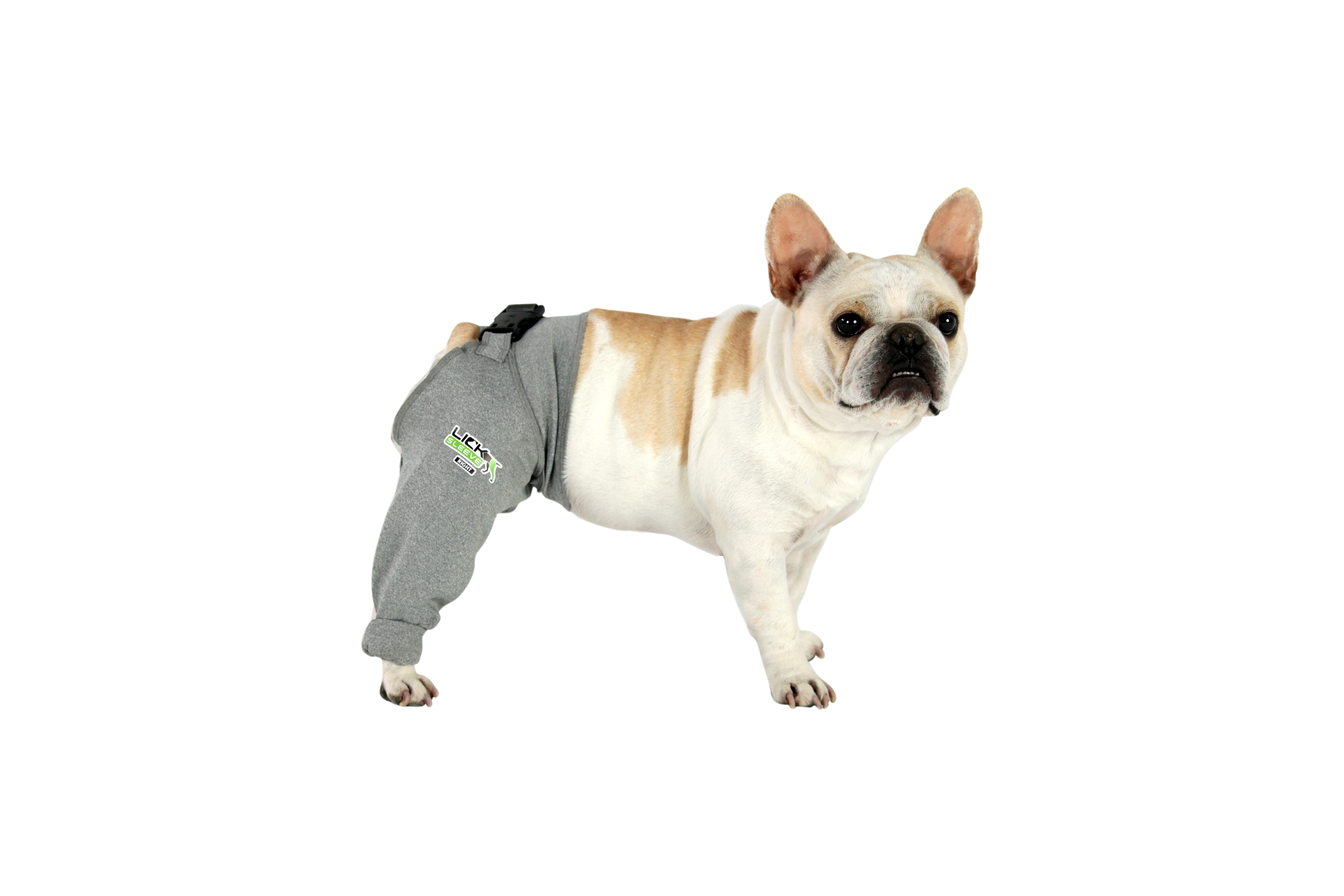 Chew proof dog bandage cheap