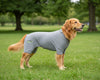 Lick Sleeve Recovery Suit