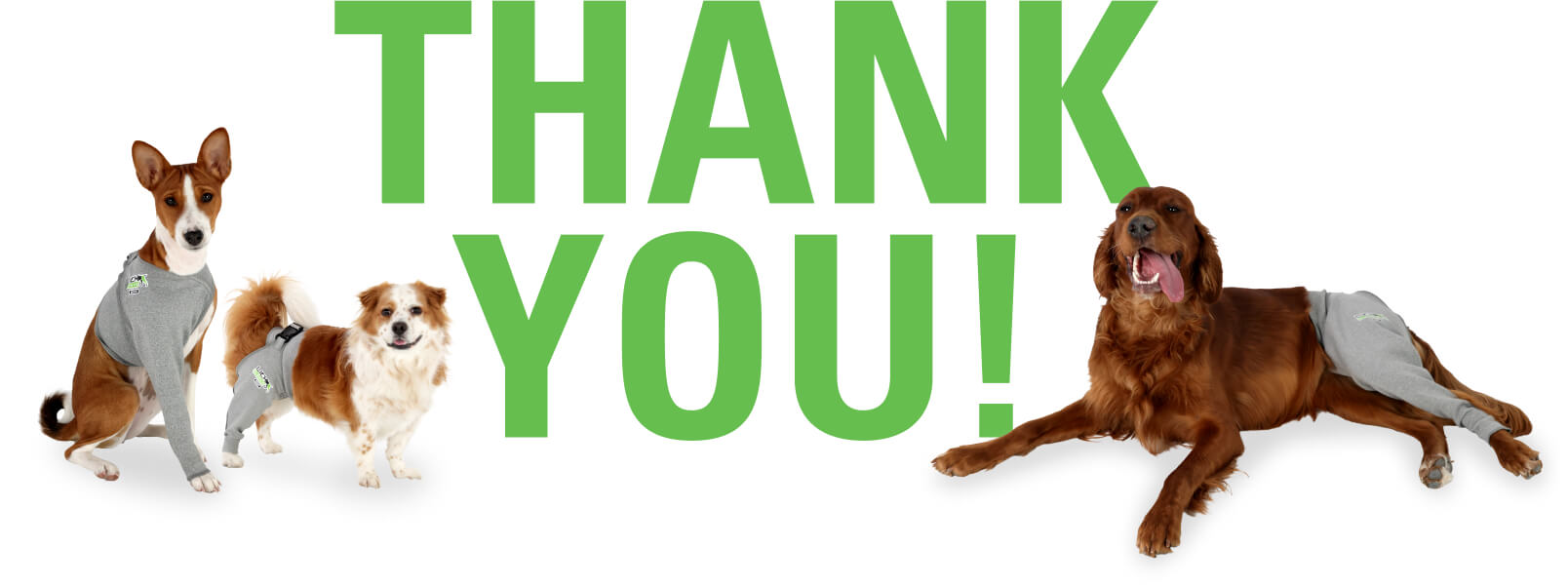 Thank you banner